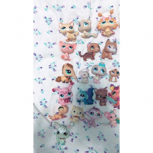 lps - Picture 2 of 4